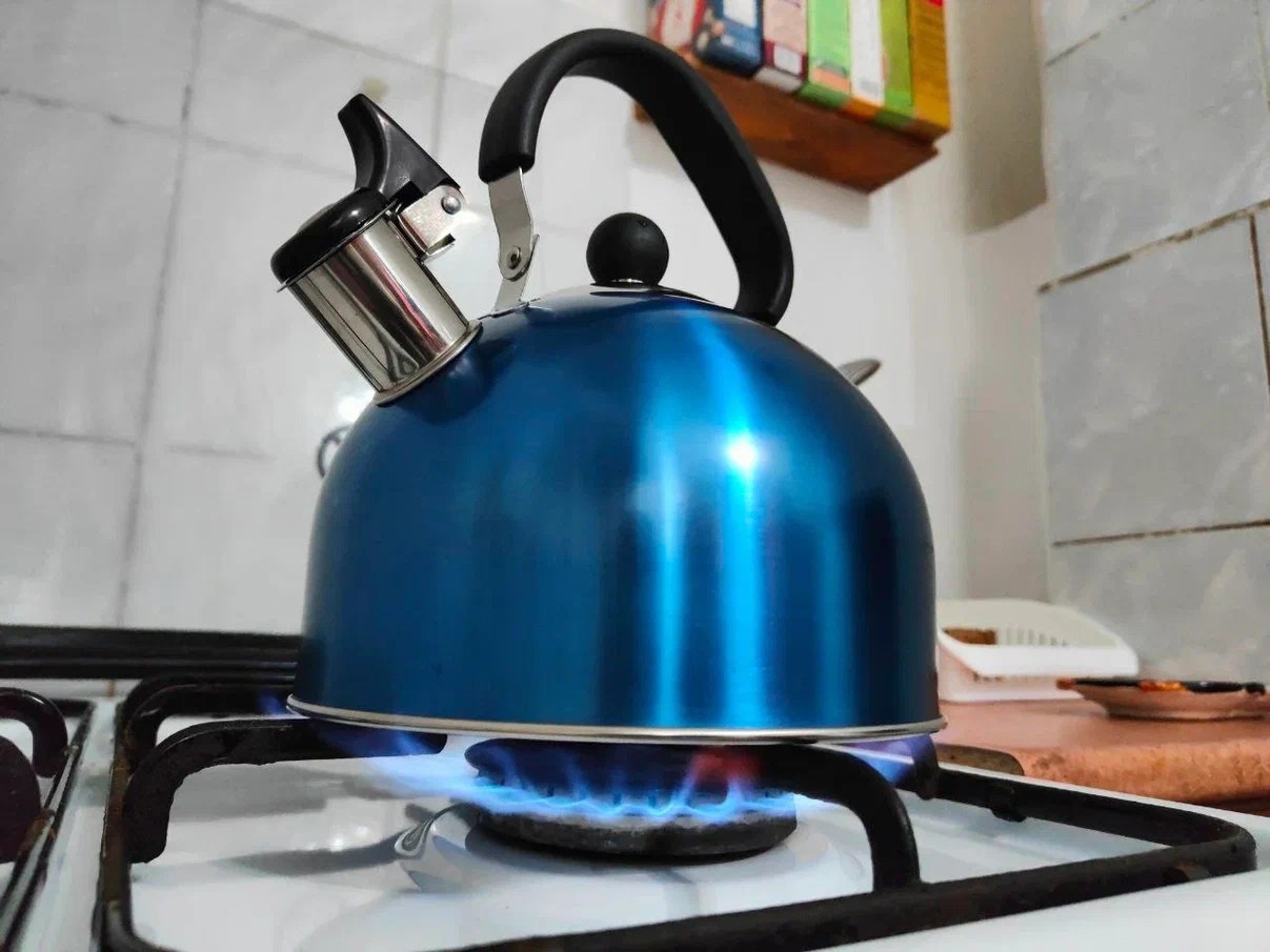 Первые потребители подключены к сетевому газу в селе Липин бор в рамках Петербургского международного газового форума.