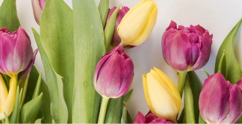 Примите поздравления с Международным женским днем - 8 марта от имени мужчин АО