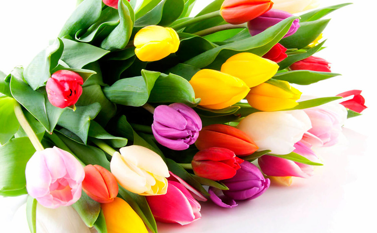 Поздравление Председателя Правления ПАО «Газпром» А.Б. Миллера с Международным женским днем