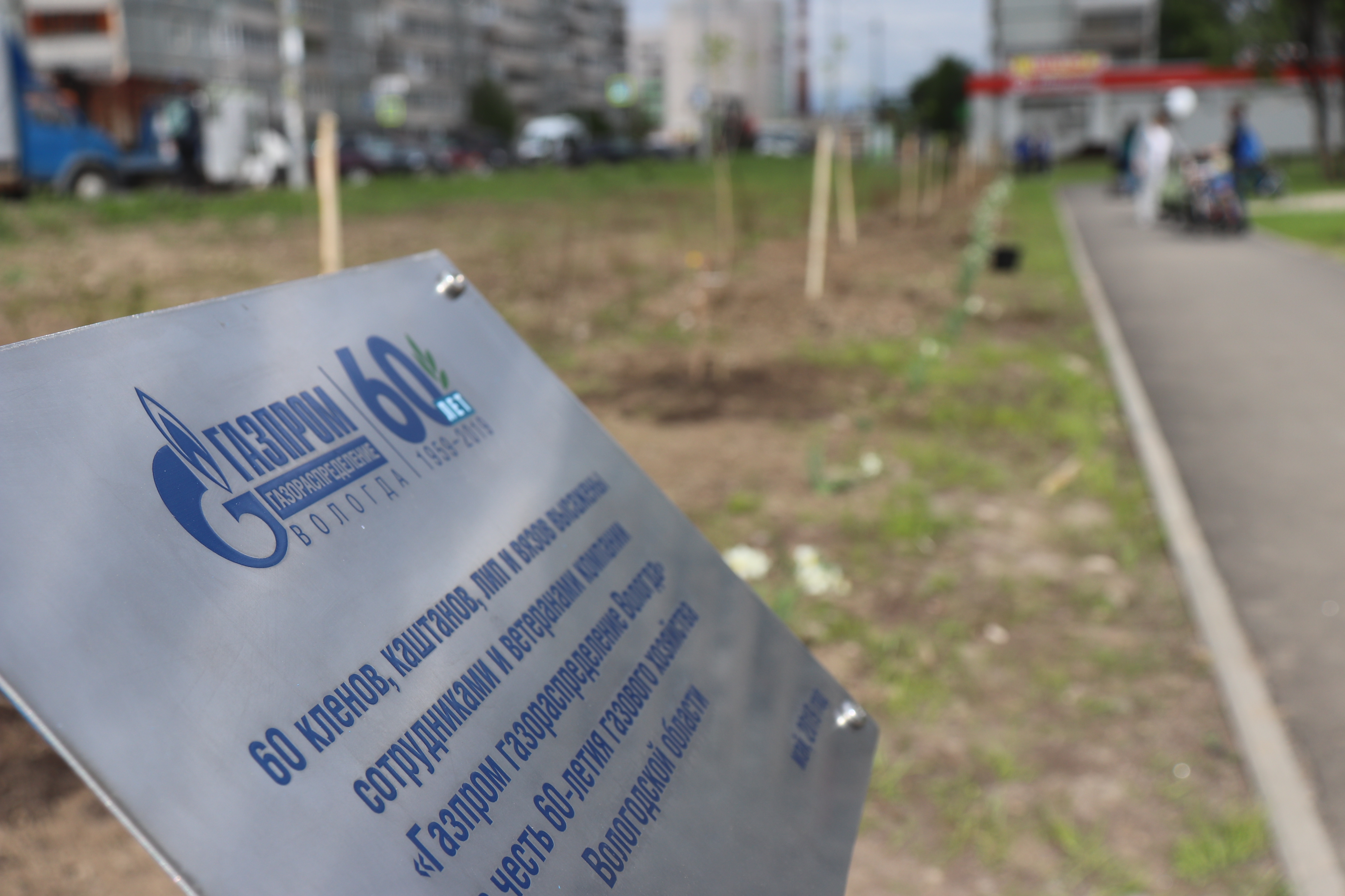 Шестьдесят саженцев высадили газовики и общественники во Фрязиновском парке в честь 60-летия газового хозяйства Вологодской области